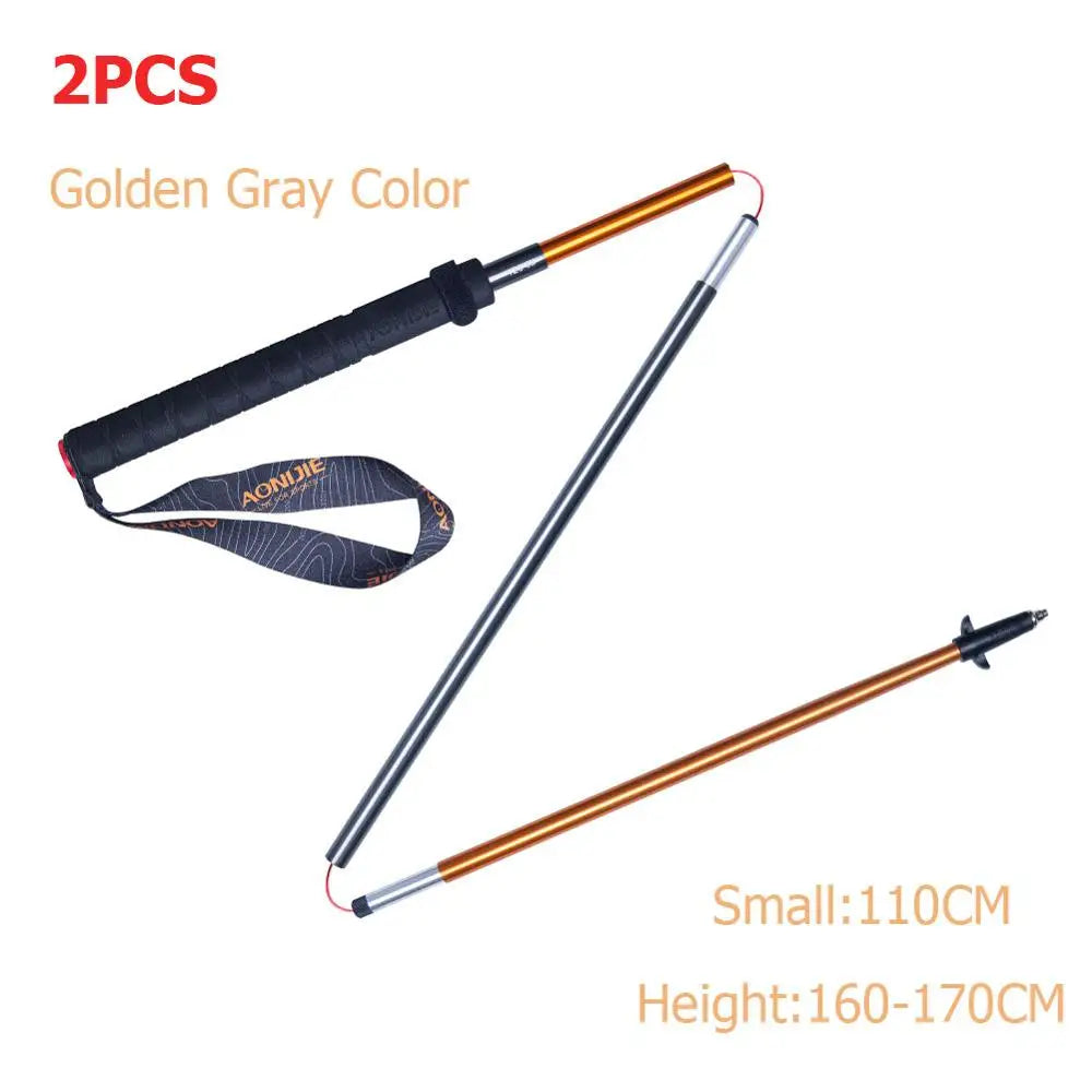 Folding Pole