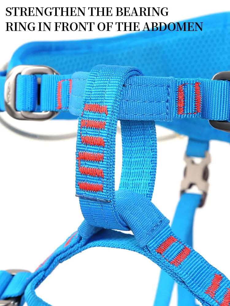 Children Safety Harness Rock Climbing