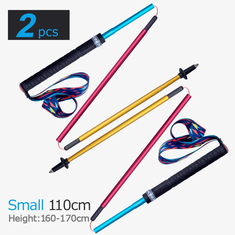 Folding Pole