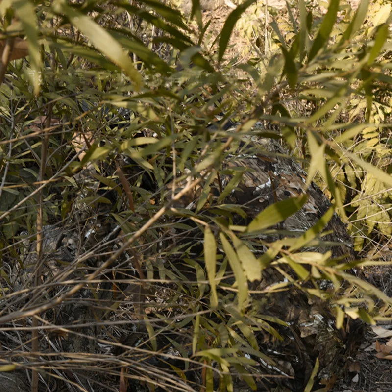 Camouflage Lightweight