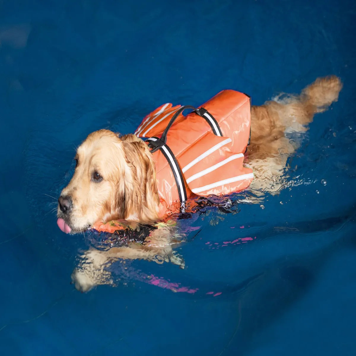 Pet Life Jacket Reflective